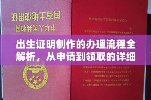 新昌出生证明制作的办理流程全解析，从申请到领取的详细指南